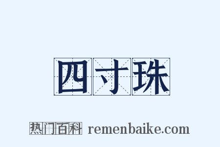 四寸珠是什么意思的图片
